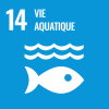 SDG 14 - VIE AQUATIQUE